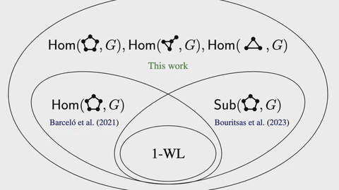 Homomorphism Counts for Graph Neural Networks: All About That Basis
